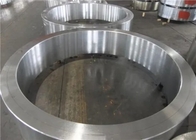 Q235q345b Gesmeed Staal die Ring Bearing Casted Lifting behouden