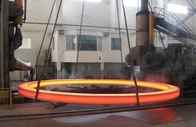 SS416 roestvrij staal Gesmede Ringen met Malenoppervlakte OD300mm