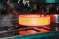 SS416 roestvrij staal Gesmede Ringen met Malenoppervlakte OD300mm